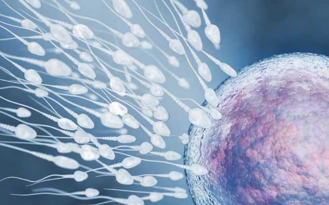 代生-弱精能做一代试管婴儿