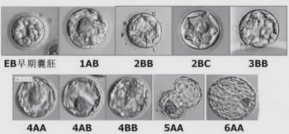 包成功-产后可以喝红糖水吗？