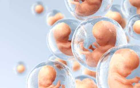 助孕-试管婴儿胚胎着床后女性可以适当吃一些小番茄吗？