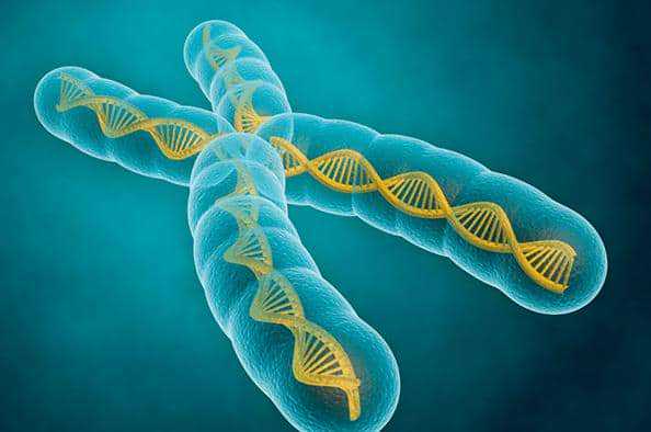 代怀男孩-月经不调吃什么药调理？多囊卵巢吃什么药调理？