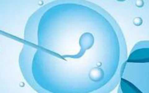 代怀微信-子宫畸形的种类有哪些？子宫畸形的种类和形状？