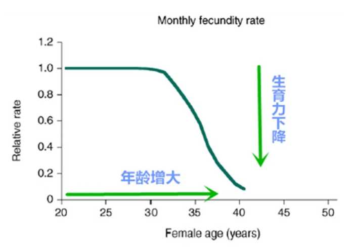 代孕公司-怀孕5个月怎么办，怀孕5月打胎好不好呢