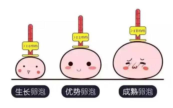 代孕公司-准备怀孕不可以拍X光吗_拍X光后怀孕