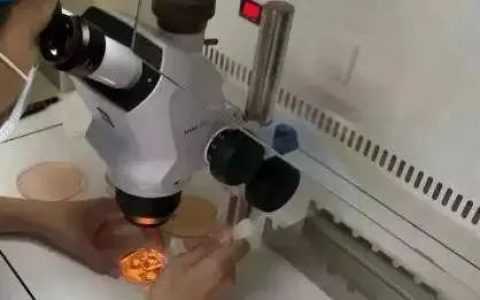 代孕公司-闭经后卵巢囊肿怎么办，十万够吗？