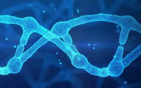 助孕男孩-上海单身女人试管多少钱？50万到美国做试管婴儿？