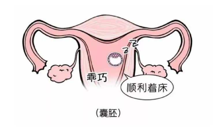 如何预防不孕不育，不怀孕检查哪六种激素