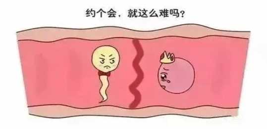 助孕机构-人工授精失败后可以考虑做试管婴儿？