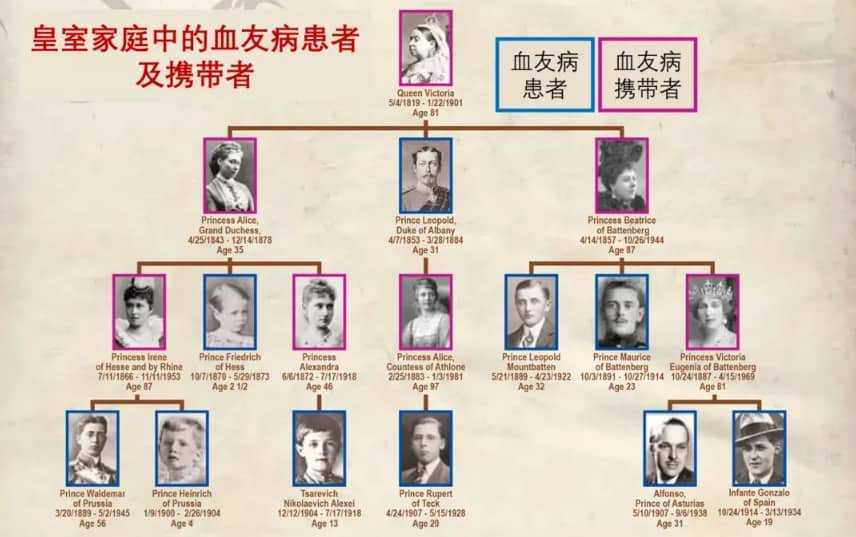 代孕公司-腺肌症做试管成功率是多少？腺肌症很严重做试管还有希望吗？