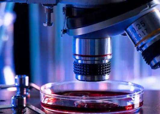 代生-我今天是移植囊胚第七天用验孕棒试了刚开始是一