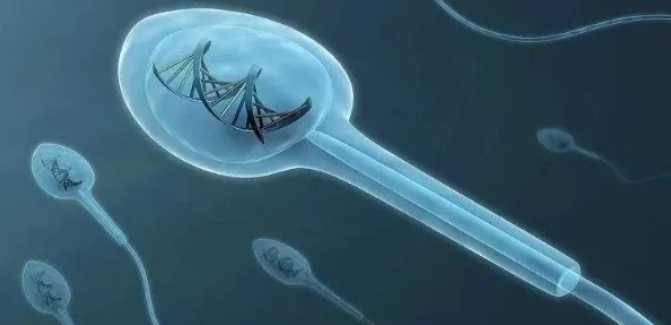 代生求子-试管婴儿卵泡取出后卧床休息时间怎么安排?