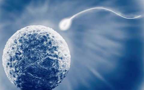 代孕公司-促排卵的副作用