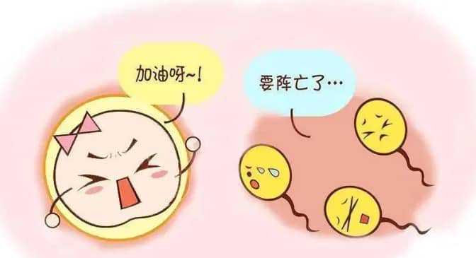 包生男孩-做试管婴儿取卵和输卵管造影检查哪个疼？