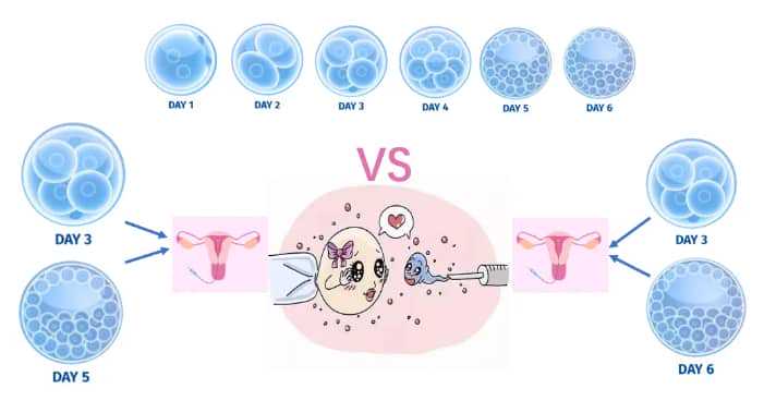代怀-备孕吃丹参酮胶囊可以吗?