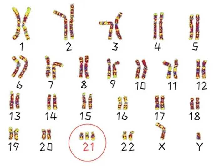 代怀-试管促排期间多喝水的好处有哪些