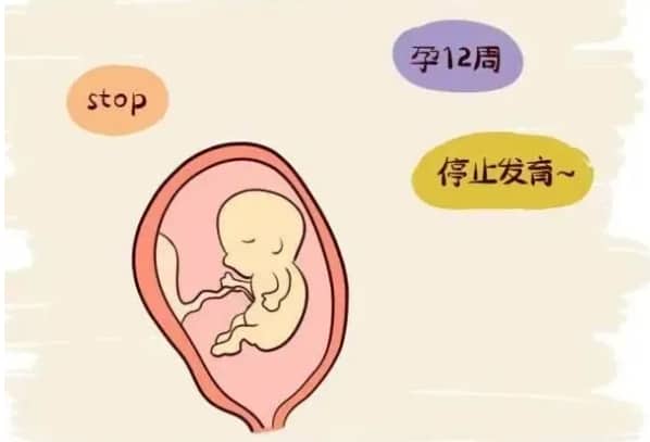 生儿子-备孕期间准爸爸要注意什么