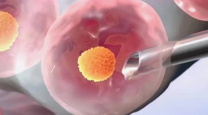 代生求子-取出卵子不成熟还能培养吗？