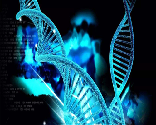 金华卵巢早衰闭经不孕，高龄备孕如何通过供卵三代试管成功？