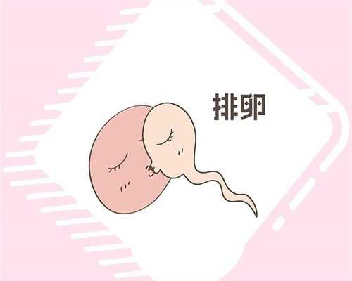 盐城单身女性必看：男性不孕检查项目全解析及代怀攻略