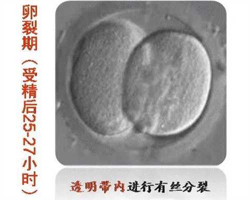 台州单基因遗传病试管攻略：代生代怀、选性别、供卵三代试管全解析