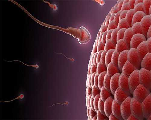珠海无精试管:代生代怀与供卵三代试管解决男性不育难题