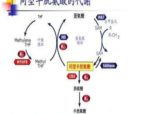 宿迁高龄三胎不孕家庭福音：代生代怀与供卵三代试管全解析