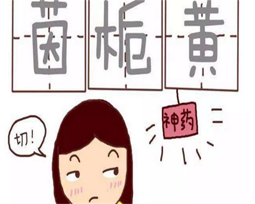 广州女性不孕治疗:代生代怀、选性别与供卵三代试管全攻略