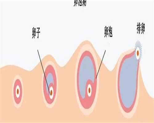 大庆特殊需求人群35岁以上试管全攻略：专业医生为您详细解读