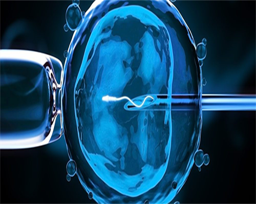 西安精子畸形率高不育？三代试管代怀选性别助孕方案解析