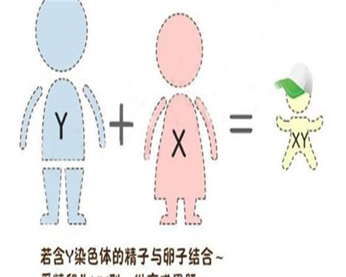 原发性不孕试管:乌克兰高龄备孕代怀选性别供卵三代试管全攻略