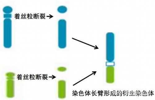 西安无排卵不孕家庭必看：代生代怀与供卵三代试管全攻略