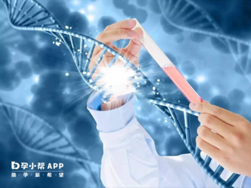 广州高龄备孕必看:精子形态分析不育与供卵三代试管攻略