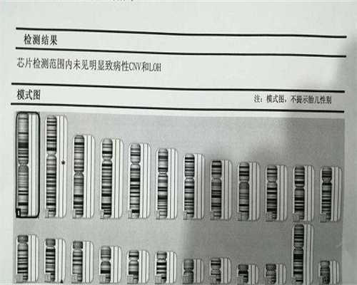 金华子宫内膜薄试管攻略：代生选性别供卵三代试管一站式指南
