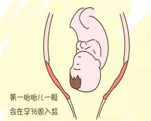 染色体异常导致流产后的三代试管婴儿成功策略