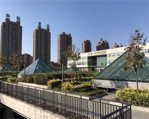 衢州拉拉同志必看：不孕不育教授解读代生代怀与供卵三代试管