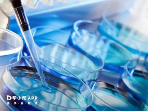 烟台特殊需求人群治疗不孕全攻略：专业医生为您详细解读
