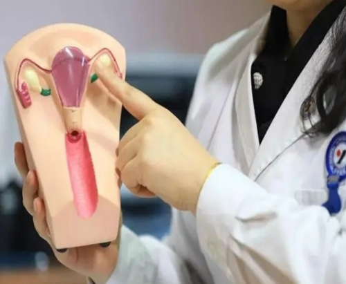 南京高龄备孕必看：不孕症状解析与供卵三代试管助孕指南