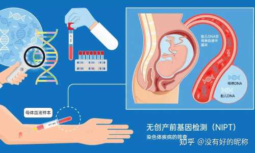 金华甲减不孕高龄备孕指南：三代试管与供卵代怀方案解析