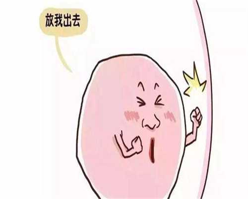 衢州拉拉必看：不孕不育系统检查与代怀三代试管全攻略