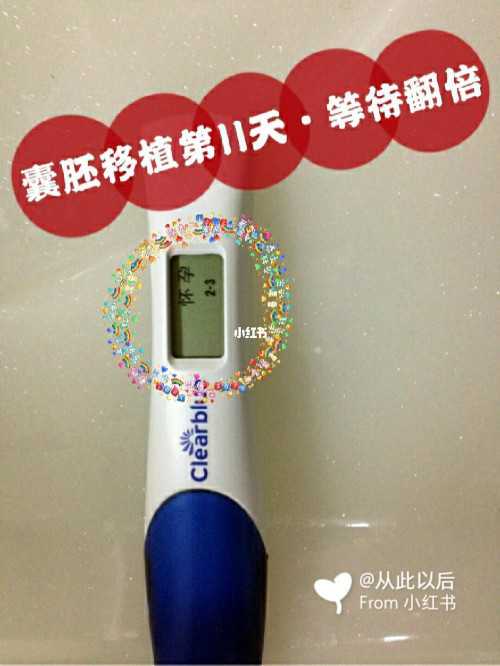 金华子宫畸形不孕？拉拉同志代生代怀与供卵三代试管指南