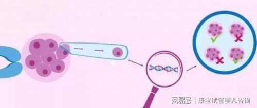 宿迁拉拉同志群体不明原因不孕试管攻略：代生代怀与供卵三代试管全解析