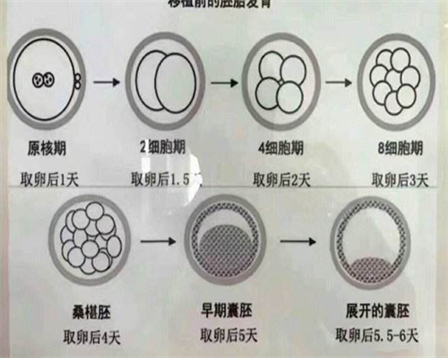 金华拉拉同志不孕检查指南：代生选性别与供卵三代试管全解析