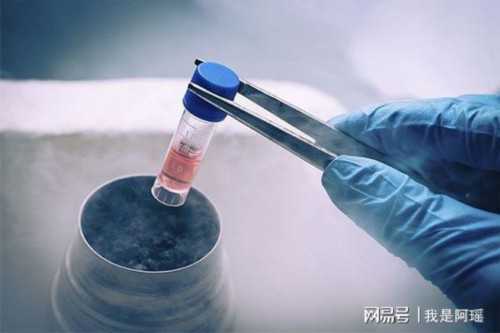 西安第二代试管婴儿：高龄备孕女性的成功之路与代怀选择