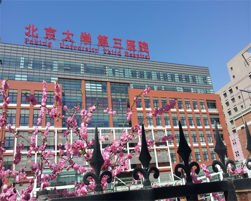 宿迁拉拉同志群体染色体重复试管攻略:代生代怀与供卵三代试管全解析
