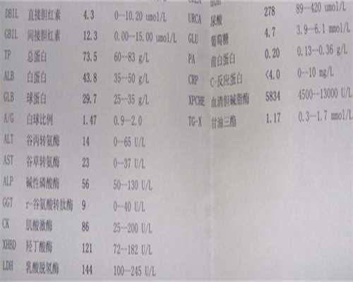 呼和浩特高龄女性不孕检查全攻略：专业医生为您详细解读