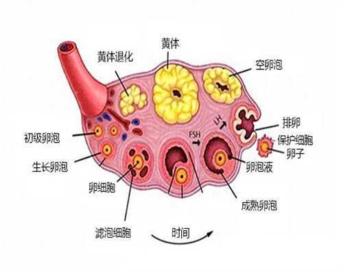 舟山基础体温测定不孕？代生代怀+供卵三代试管全解析