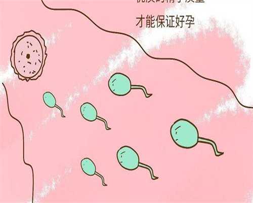 广州前列腺炎不育家庭如何通过供卵三代试管实现生育梦
